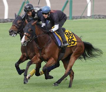 【函館SS】カルプスペルシュ 素質は確か 初コンビ丹内も好感触「乗り難しさがほとんどない」