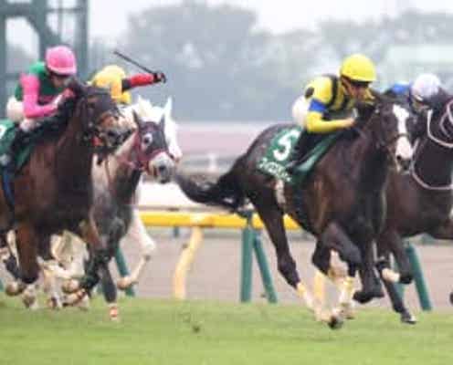 【アルテミスS】フィロステファニが重賞初制覇 川田「重賞をいい内容で走れたのが次につながる」