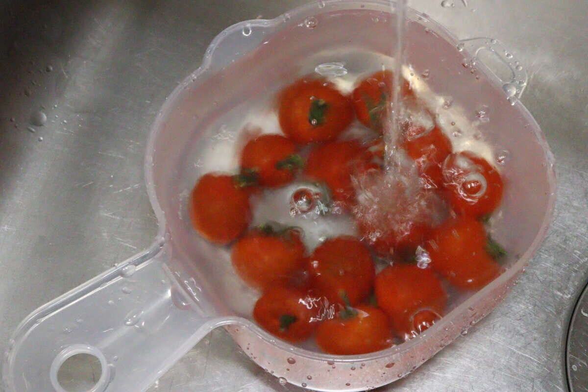 ダイソーの取っ手付　ミニザル・ボウル　使用例1