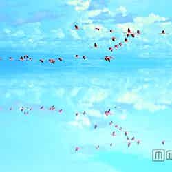 空と水の反射が織りなす絶景