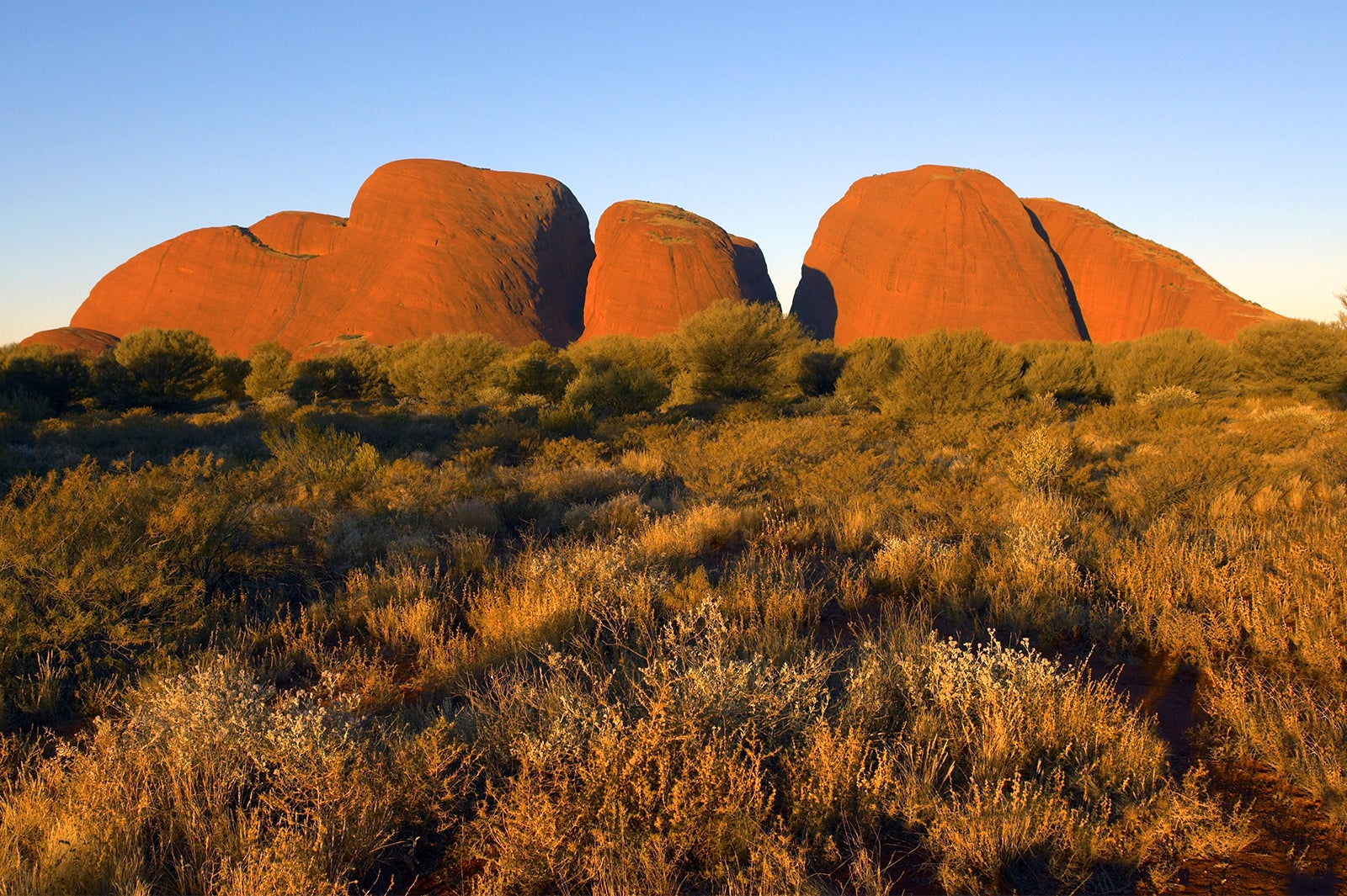 カタ・ジュタ／画像提供：ノーザンテリトリー政府観光局
