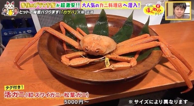 カニとサカナの場　Casava