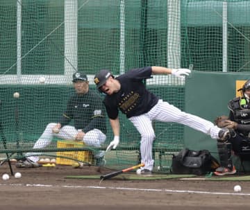 阪神 佐藤輝明にアクシデント フリー打撃で右膝付近に死球「うわー！」→ケージ内に倒れ込む 宜野座のスタンドどよめくも練習に復帰