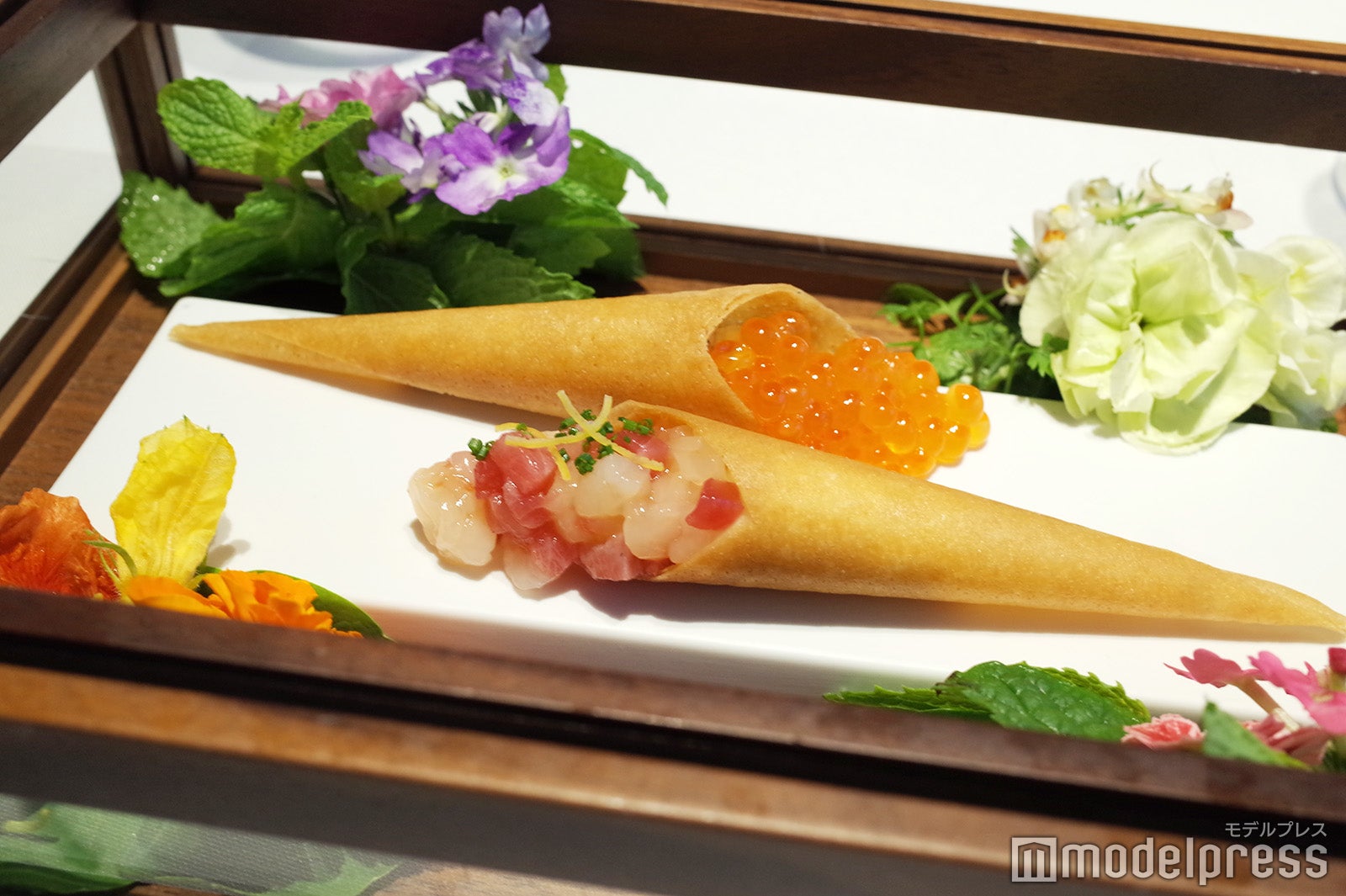 星野リゾート　トマム（C）モデルプレス