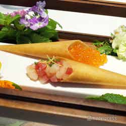 星野リゾート トマム(C)モデルプレス