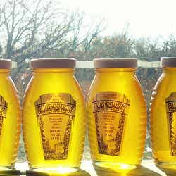 ハチミツは美肌づくりの強い味方！Honey by Wendy Berry