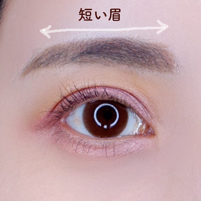 短い眉