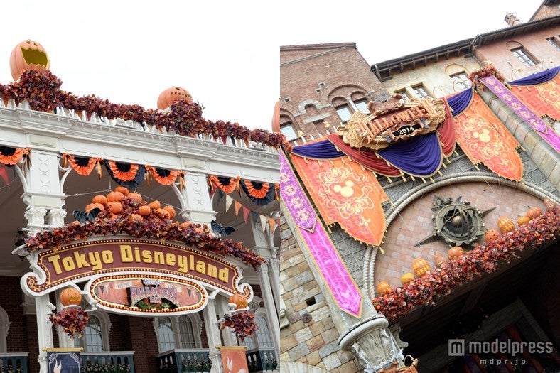 ディズニー、ハロウィーンムード満点のパークの様子　夜は幻想的な雰囲気に