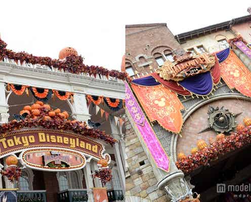 ディズニー、ハロウィーンムード満点のパークの様子 夜は幻想的な雰囲気に