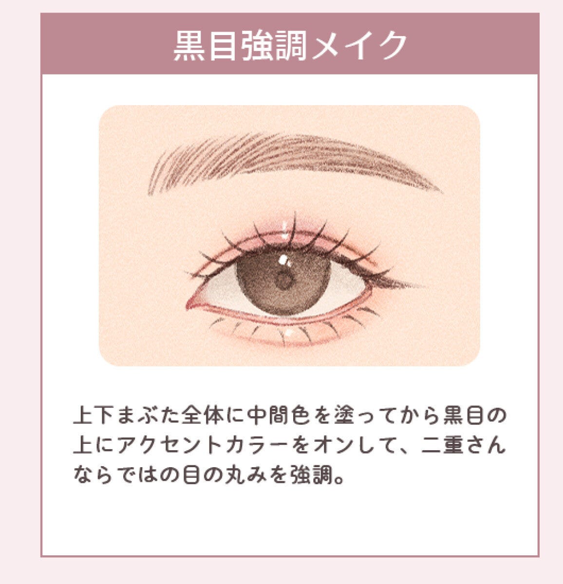 「黒目強調メイク」二重さんの目元に黒目上アクセントカラーをのせ目の丸みを強調したイラスト