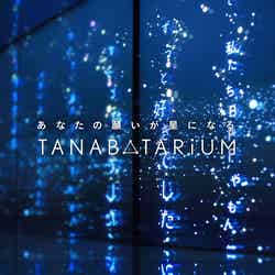 「タナバタリウム」イメージ写真（C）日本テレビ