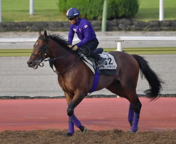 ドンアミティエがリヤドダートスプリント招待受諾 サトノグランツはアミールTの招待受諾