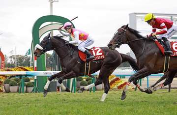 香港参戦のジューンテイクはモレイラと新コンビ