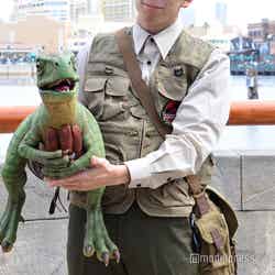 (C)モデルプレス