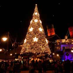 アメリカンウォーターフロントのクリスマスツリー （C）Disney