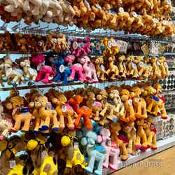 ドバイ・モール(C)モデルプレス