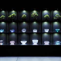 夏のアートアクアリウム~金魚で夏を感じる、涼~/画像提供:アートアクアリウム製作委員会