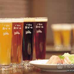 厳選肉とビールを堪能「お台場 肉GARDEN produced by 肉フェス」イメージ/画像提供:Food Nations 実行委員会【モデルプレス】