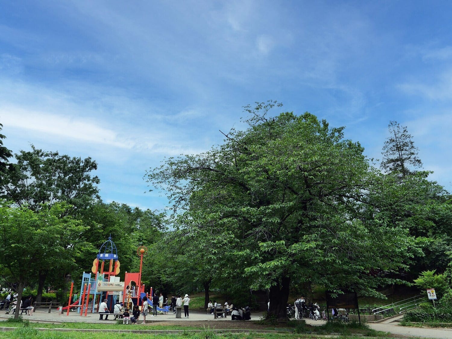 横浜18区で「名前がかっこいいと思う区」ランキング! 2位「港南区」、1位は?【専門家の解説も】