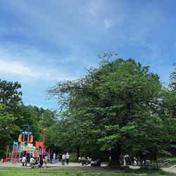 横浜18区で「名前がかっこいいと思う区」ランキング! 2位「港南区」、1位は?【専門家の解説も】