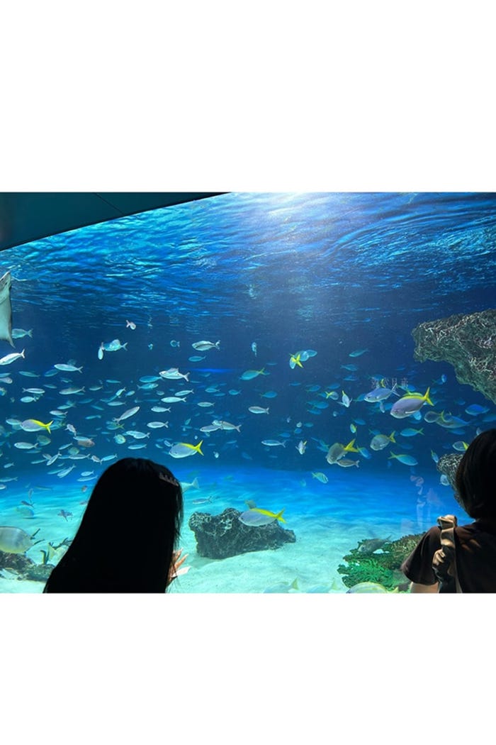 安めぐみオフィシャルブログより