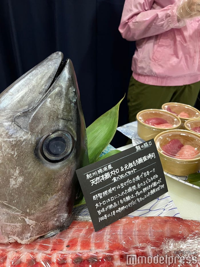 「TGC 和歌山 2023」ケータリング会場の様子 (C)モデルプレス