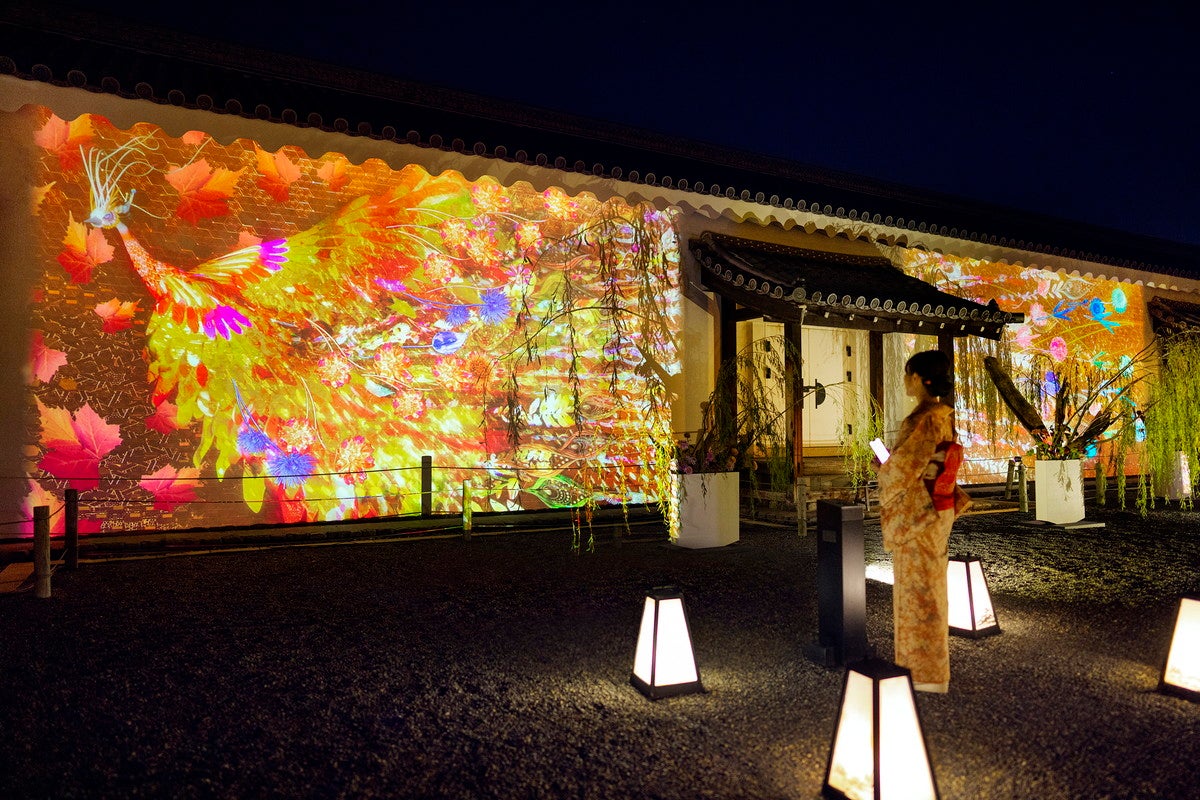 NAKED FLOWERS 2022 秋 世界遺産・二条城／画像提供：ネイキッド