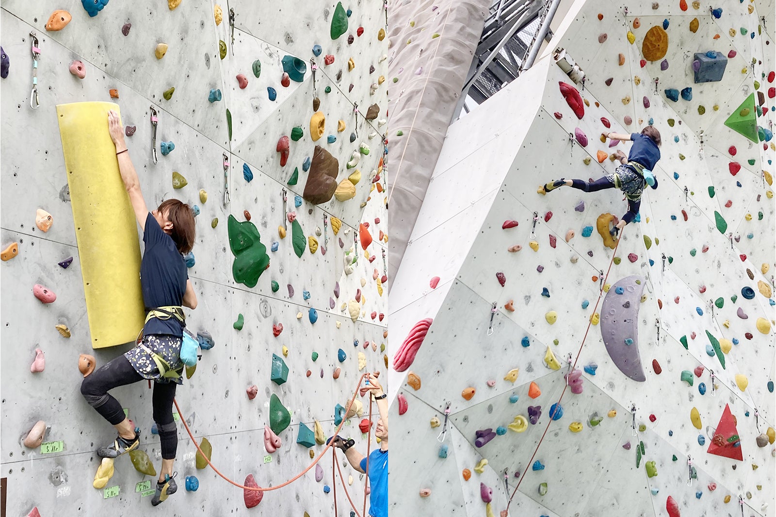 モリパーク アウトドアヴィレッジ（提供画像）