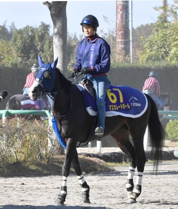 マスカレードボールはドバイシーマC、ドバイターフ、大阪杯を検討、ジャンタルマンタルはドバイターフが有力