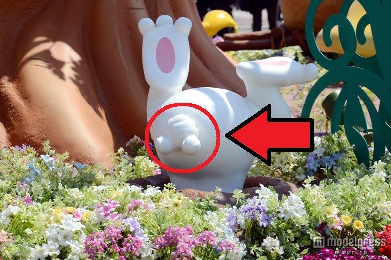 イースターバニーのしっぽに注目