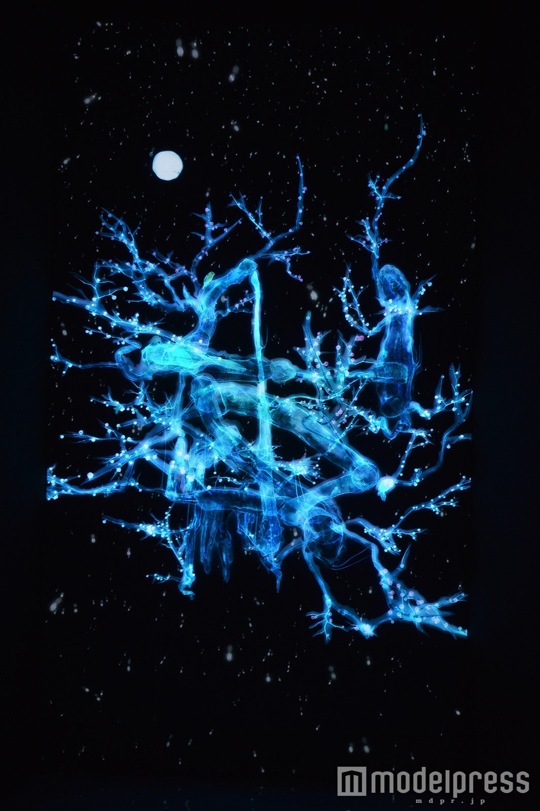 DMM.プラネッツ Art by team Lab（C）モデルプレス