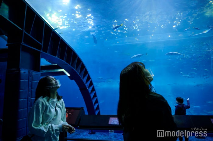 沖縄美ら海水族館(C)モデルプレス