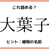 犲って何 読めたらスゴイ 動物の難読漢字 4選 モデルプレス 犲って何 読めたらスゴイ 動物の難読漢字 4選 モデルプレス