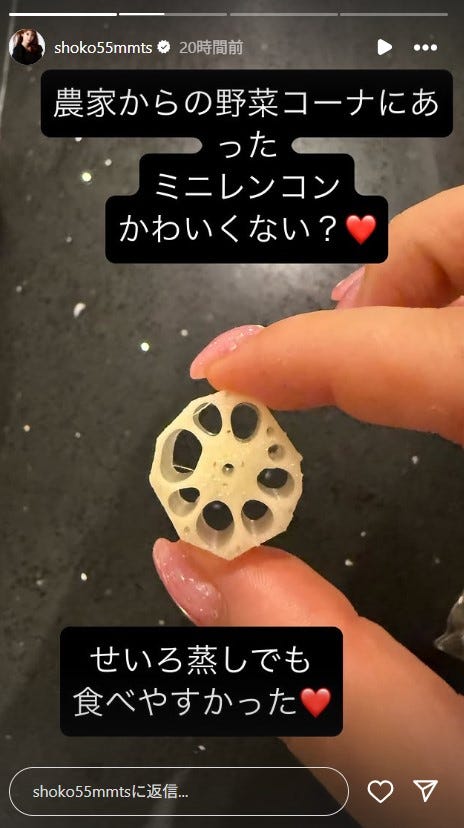 中川翔子Instagramストーリーズより