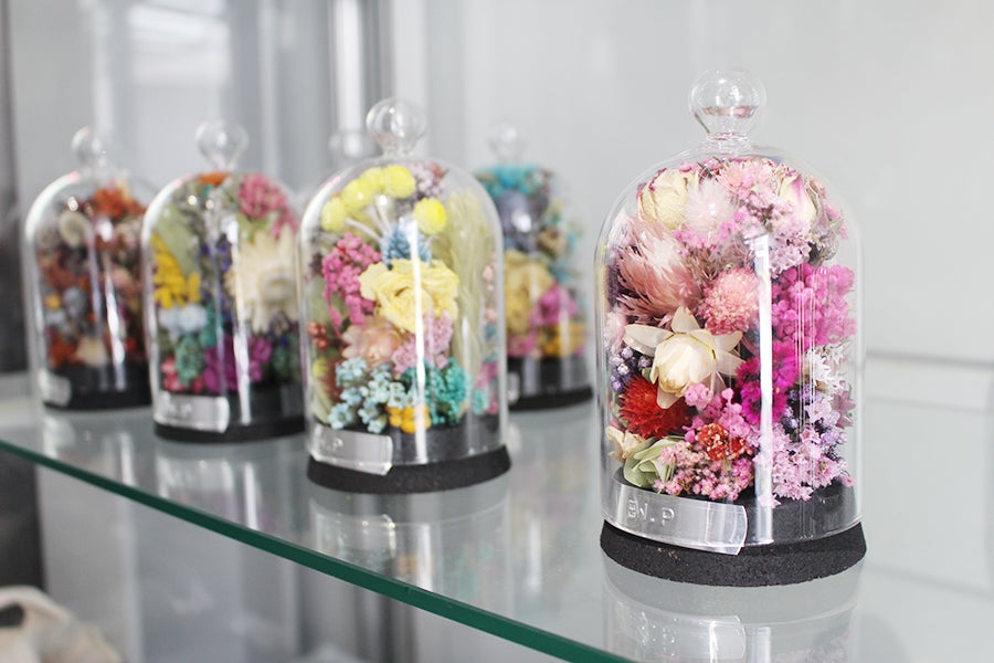 EW.Pharmacy dome arrangement