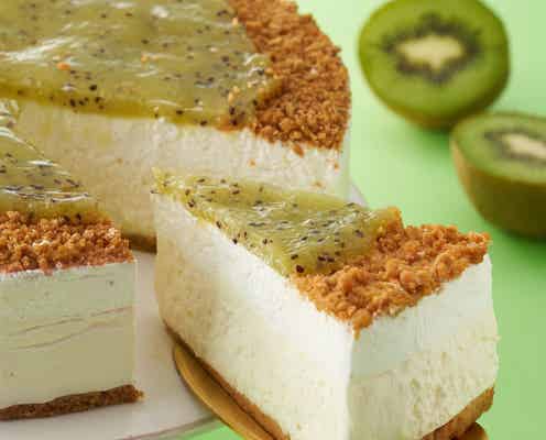 【スタバ新作メニュー】キウイのレアチーズケーキに抹茶スコーン…“ミドリ”フードずらり