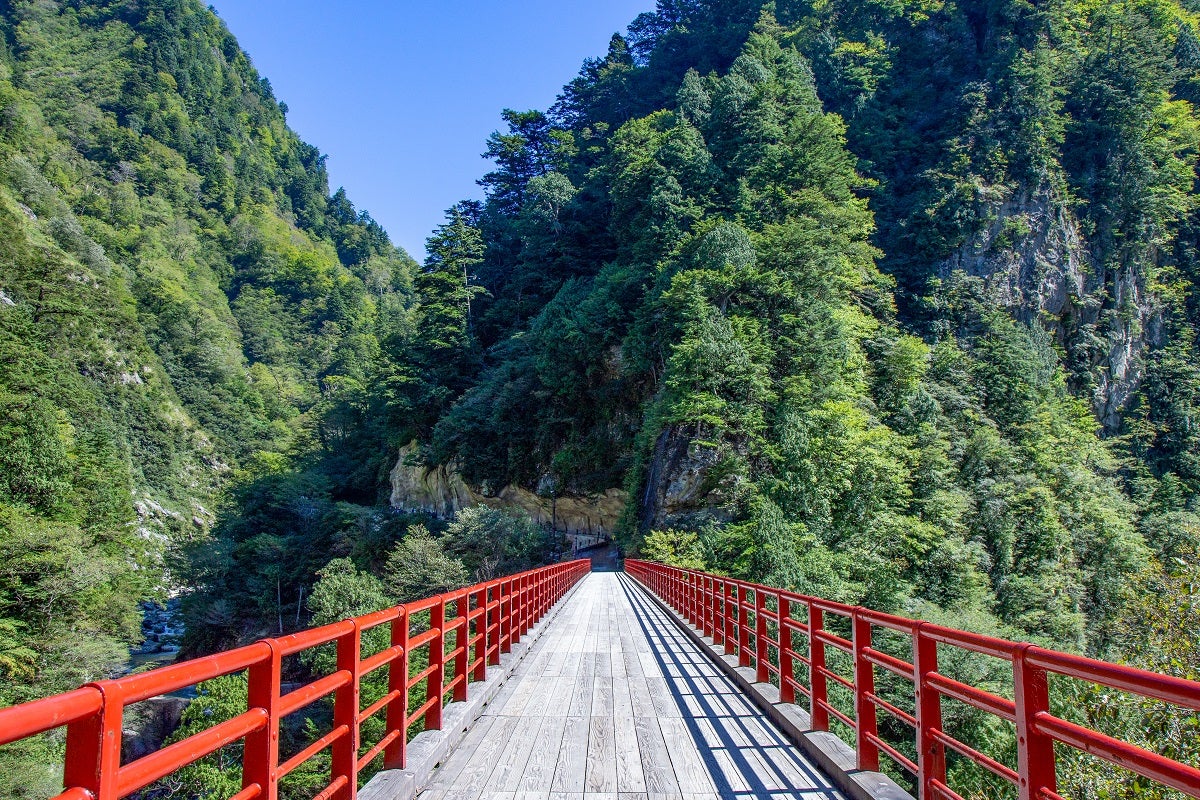 朱塗りの橋が峡谷の緑にベストマッチ！紅葉時期の美しさも格別です／提供画像