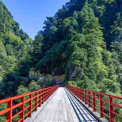 朱塗りの橋が峡谷の緑にベストマッチ!紅葉時期の美しさも格別です/提供画像