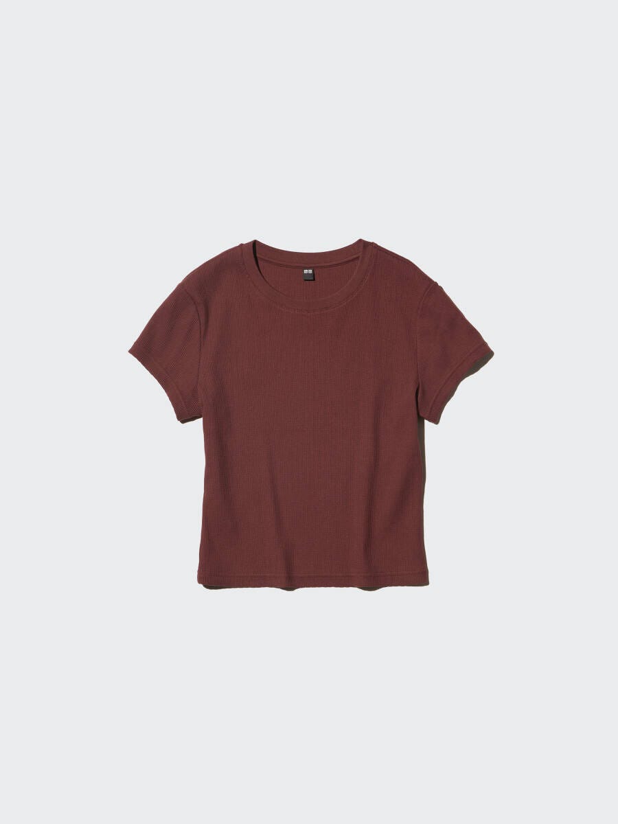 ブラウンのリブ素材クルーネックミニTシャツ ブラウンのリブ素材クルーネックミニTシャツ