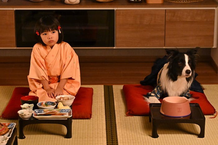 倉田瑛茉「西園寺さんは家事をしない」最終話(C)TBS