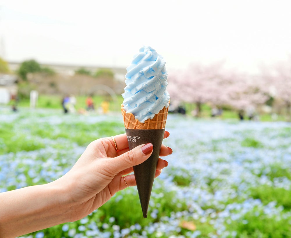 花と光のムーブメント／提供画像