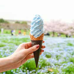 花と光のムーブメント/提供画像