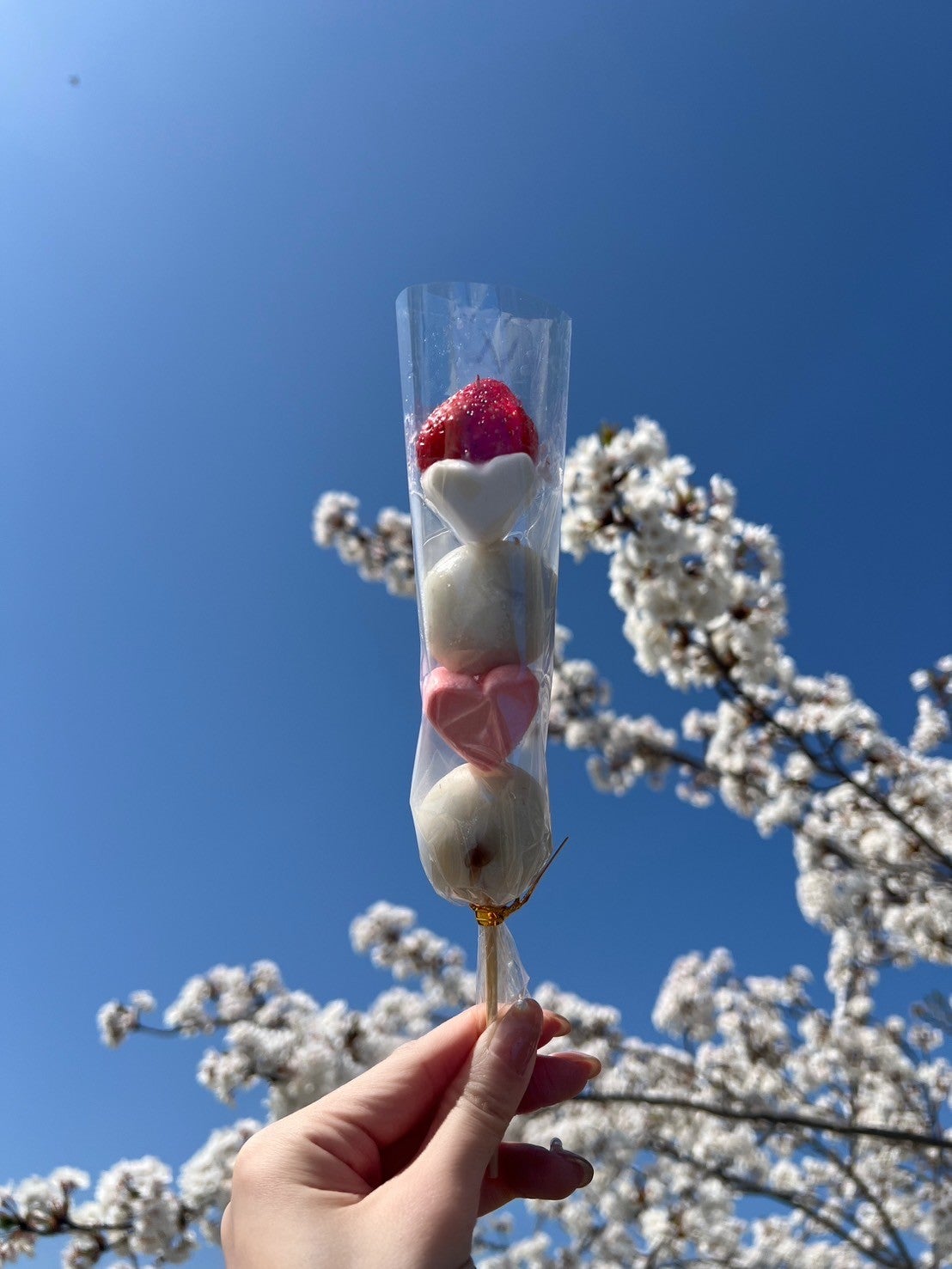 阿野いずみ「新年度、素敵なリフレッシュ時間と自分磨き！」（提供写真）