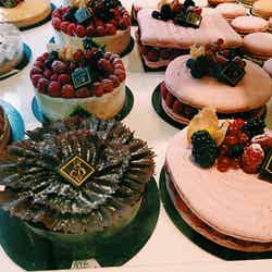 Levain et Tradition/画像提供:所属事務所