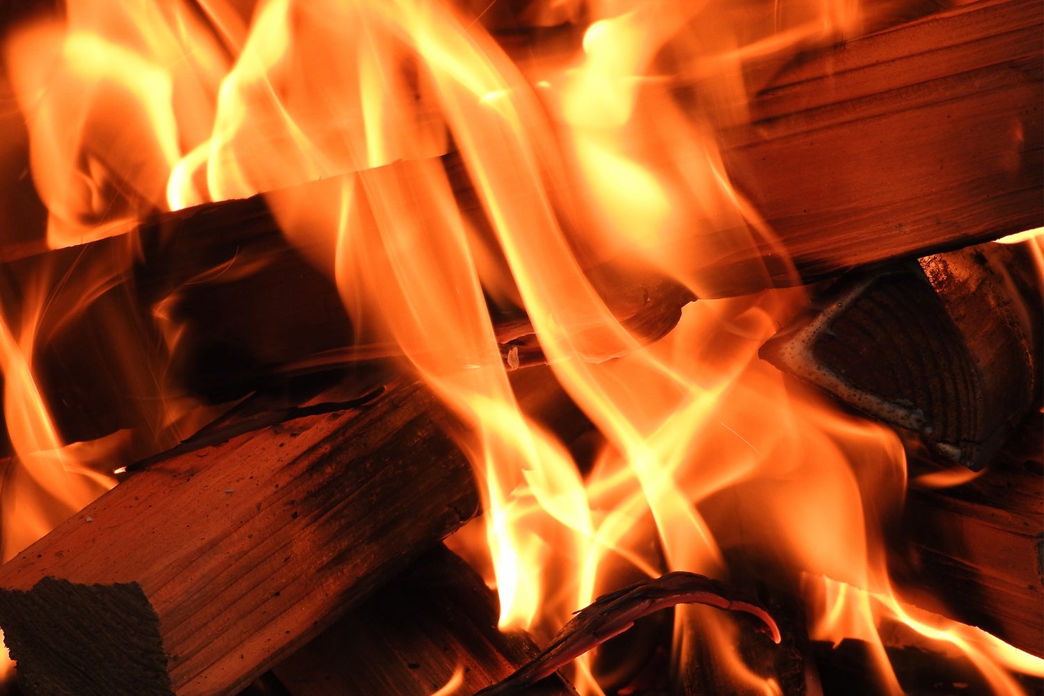 金沢石川グランピングリゾート オーシャンズテラス柴垣／画像提供：ブッキングリゾート