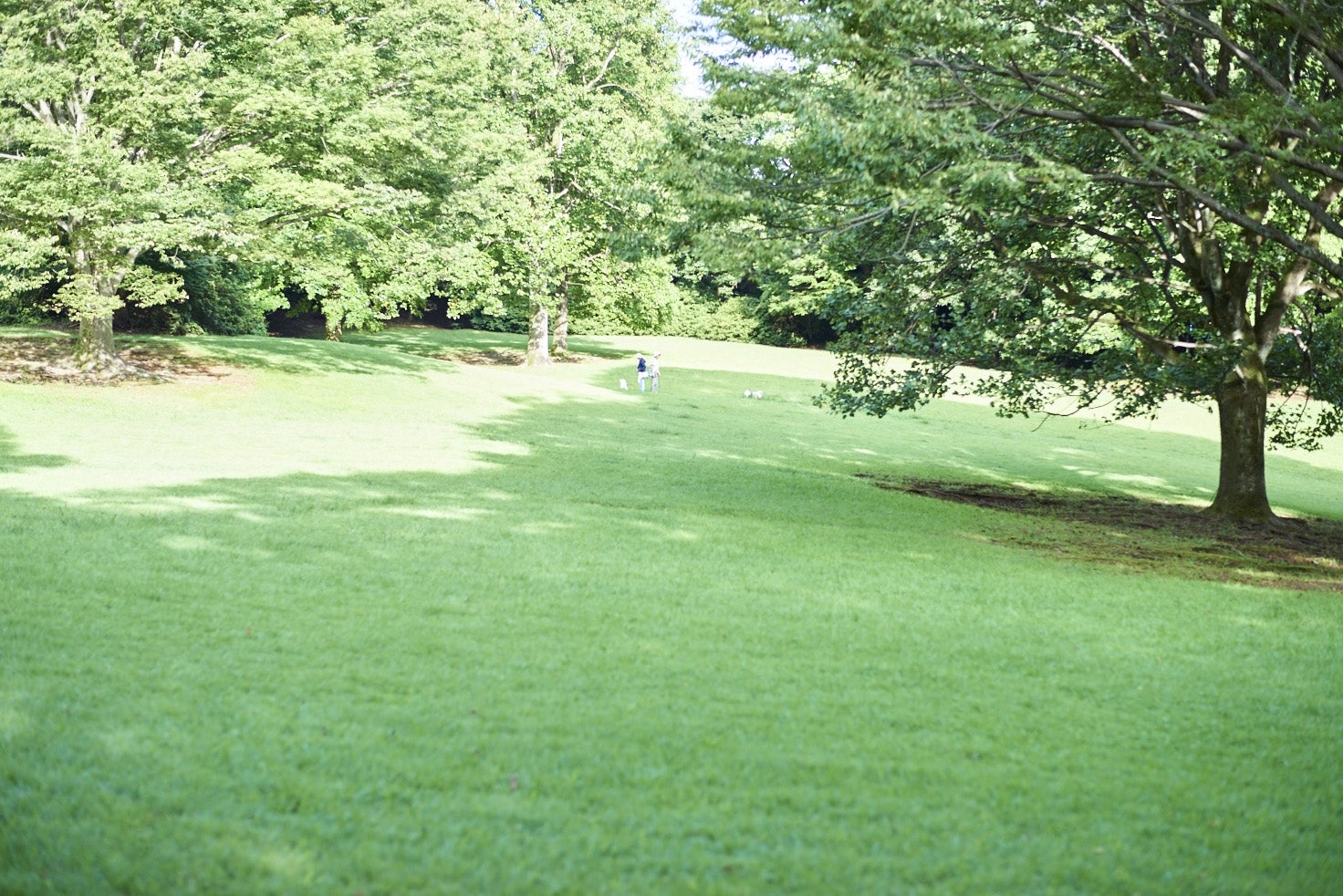 INN THE PARK／画像提供：株式会社インザパーク