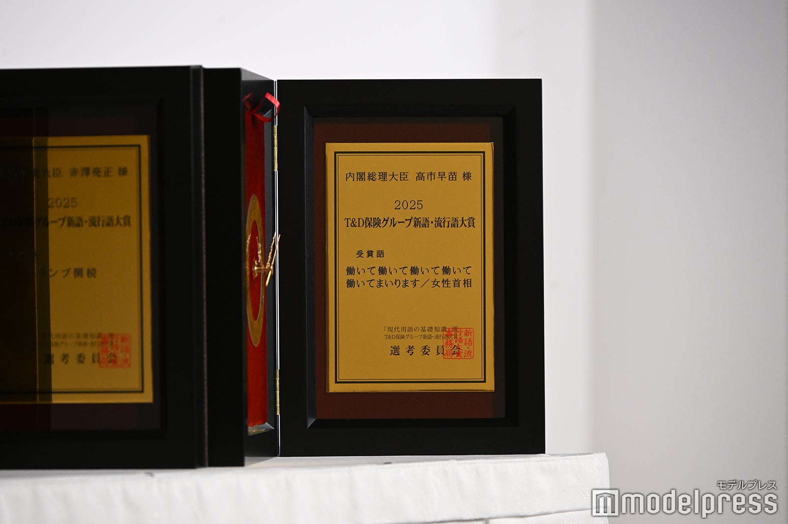 「2025 T＆D保険グループ新語・流行語大賞」の様子（C）モデルプレス