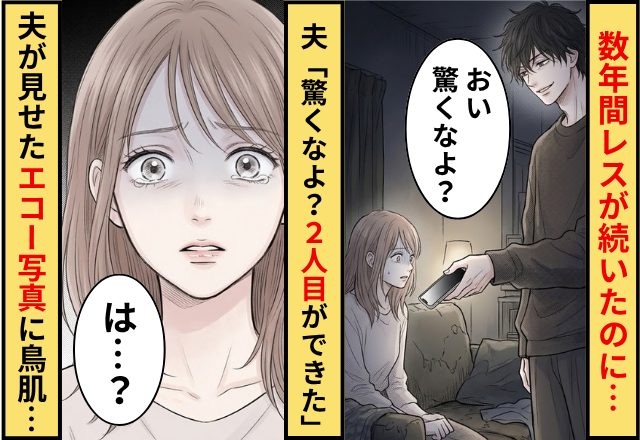 夫「驚くなよ？2人目ができた」妻「は？」⇒直後、夫が取りだした【エコー写真】を見て鳥肌が立ったワケ