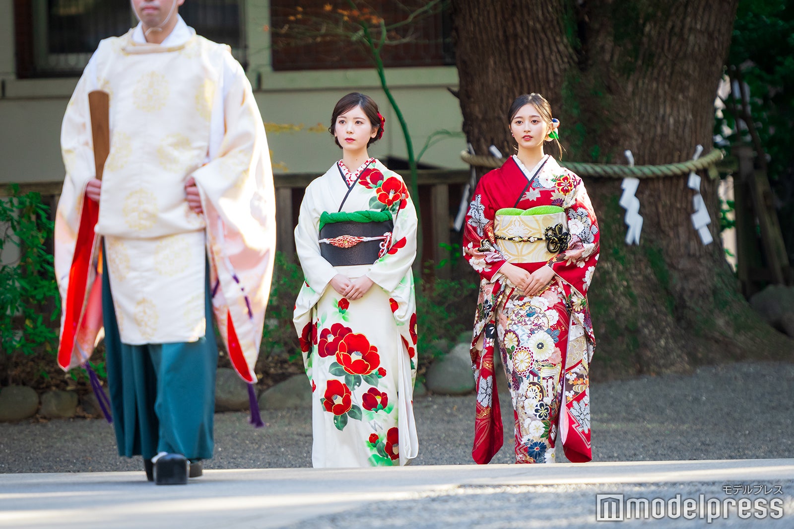 筒井あやめ、井上和／乃木坂46成人式（C）モデルプレス