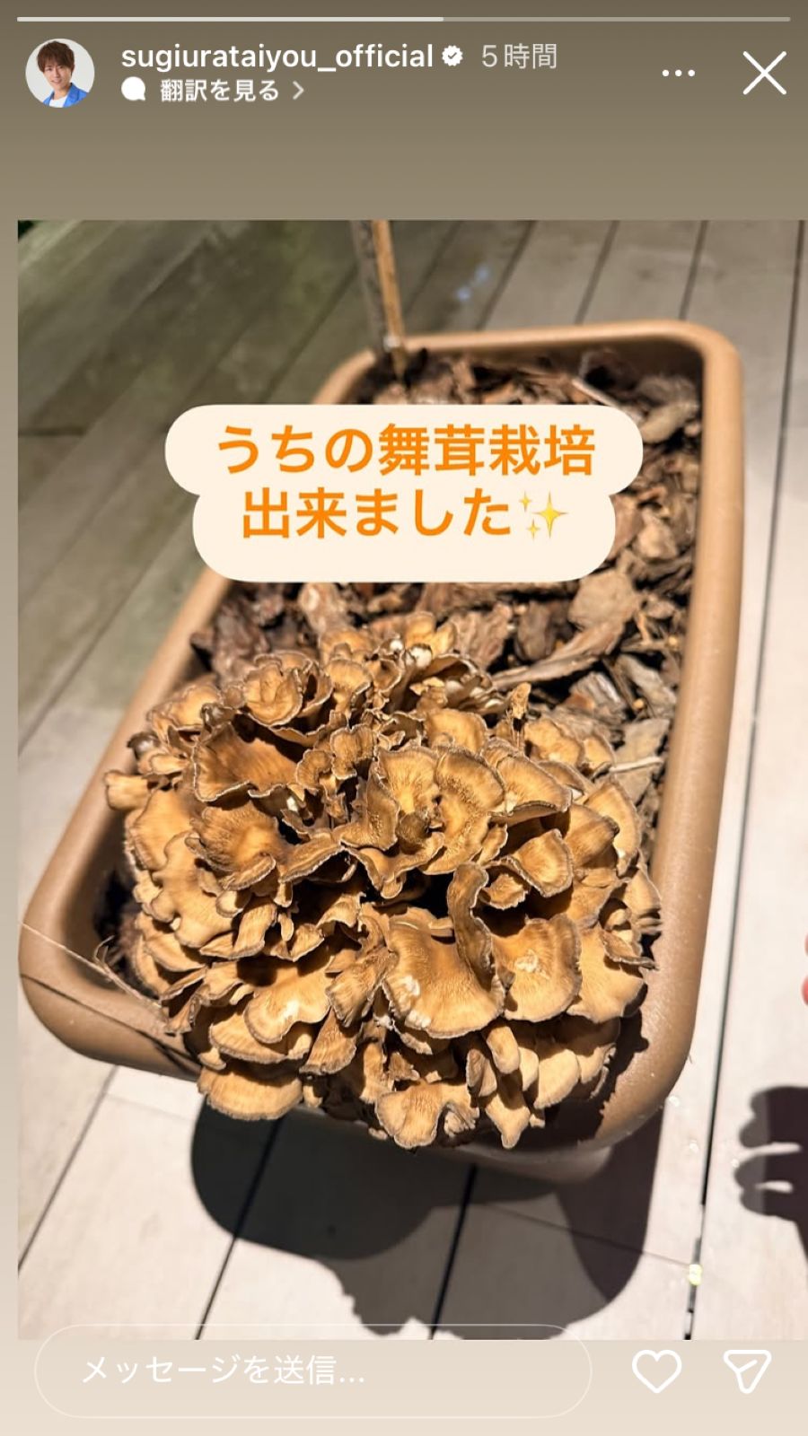 杉浦太陽Instagramストーリーズより